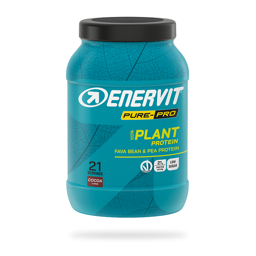 Plant Protein Cocoa