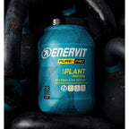 Plant Protein Cocoa